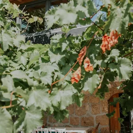 بيت للعطل Casa Del Mar أوميس